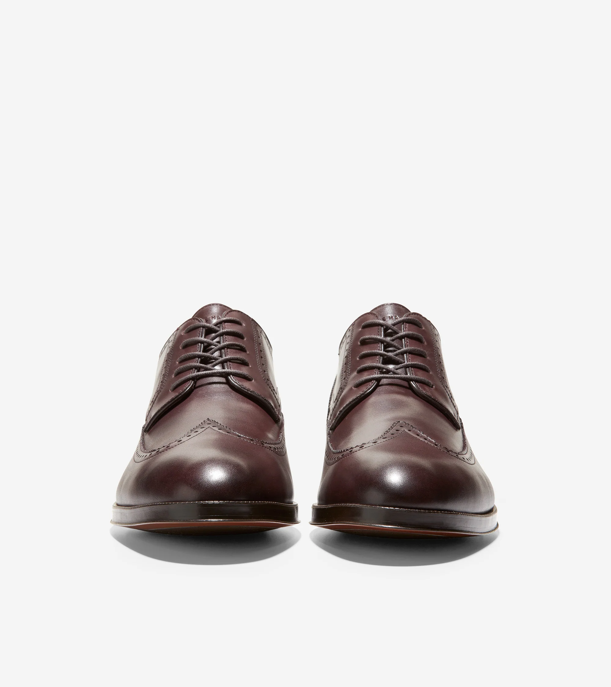 Dawson Grand Wingtip Oxford - Image 2