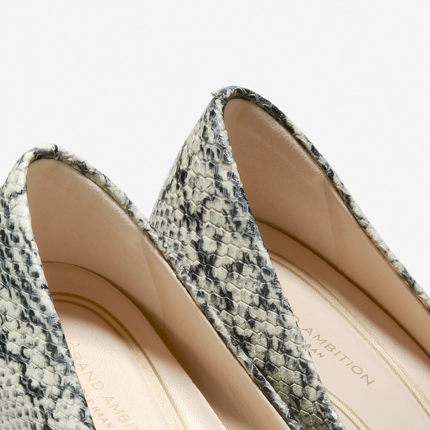 Grand Ambition Pump - Image 7