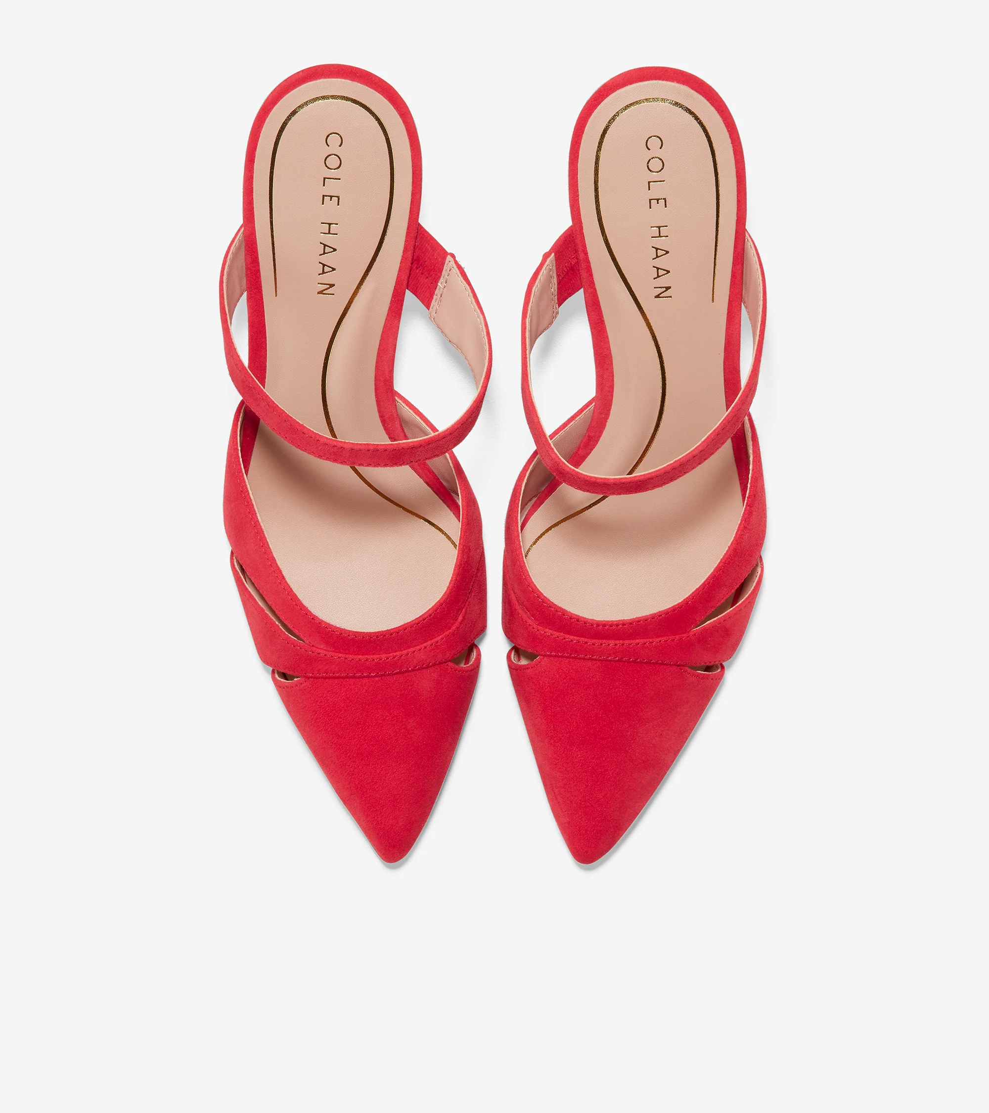 Vandam Mule - Image 4