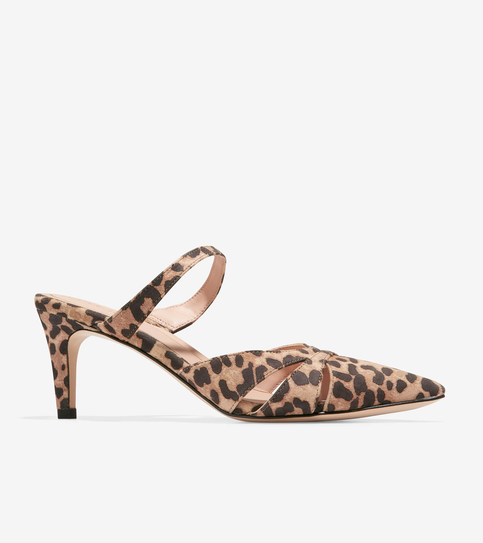 Vandam Mule