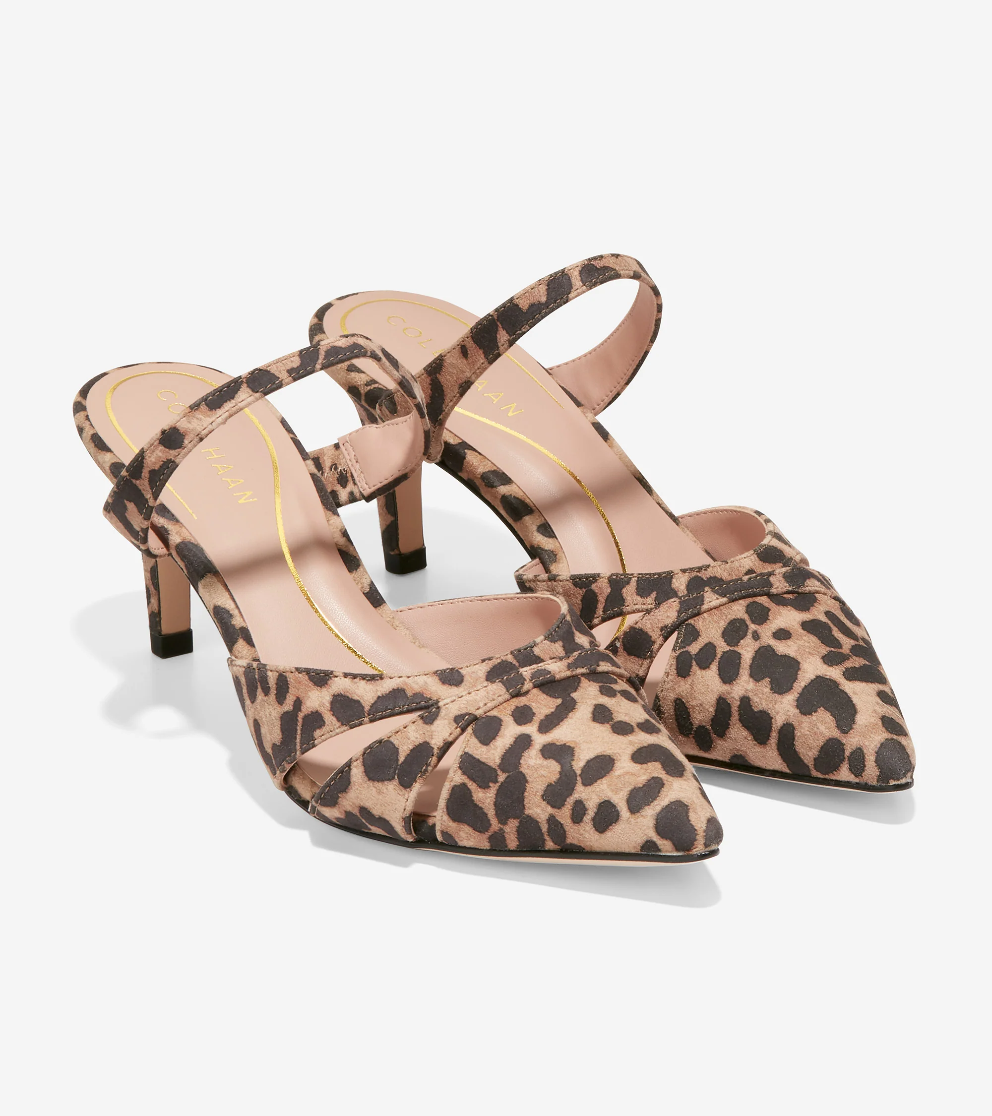 Vandam Mule - Image 5