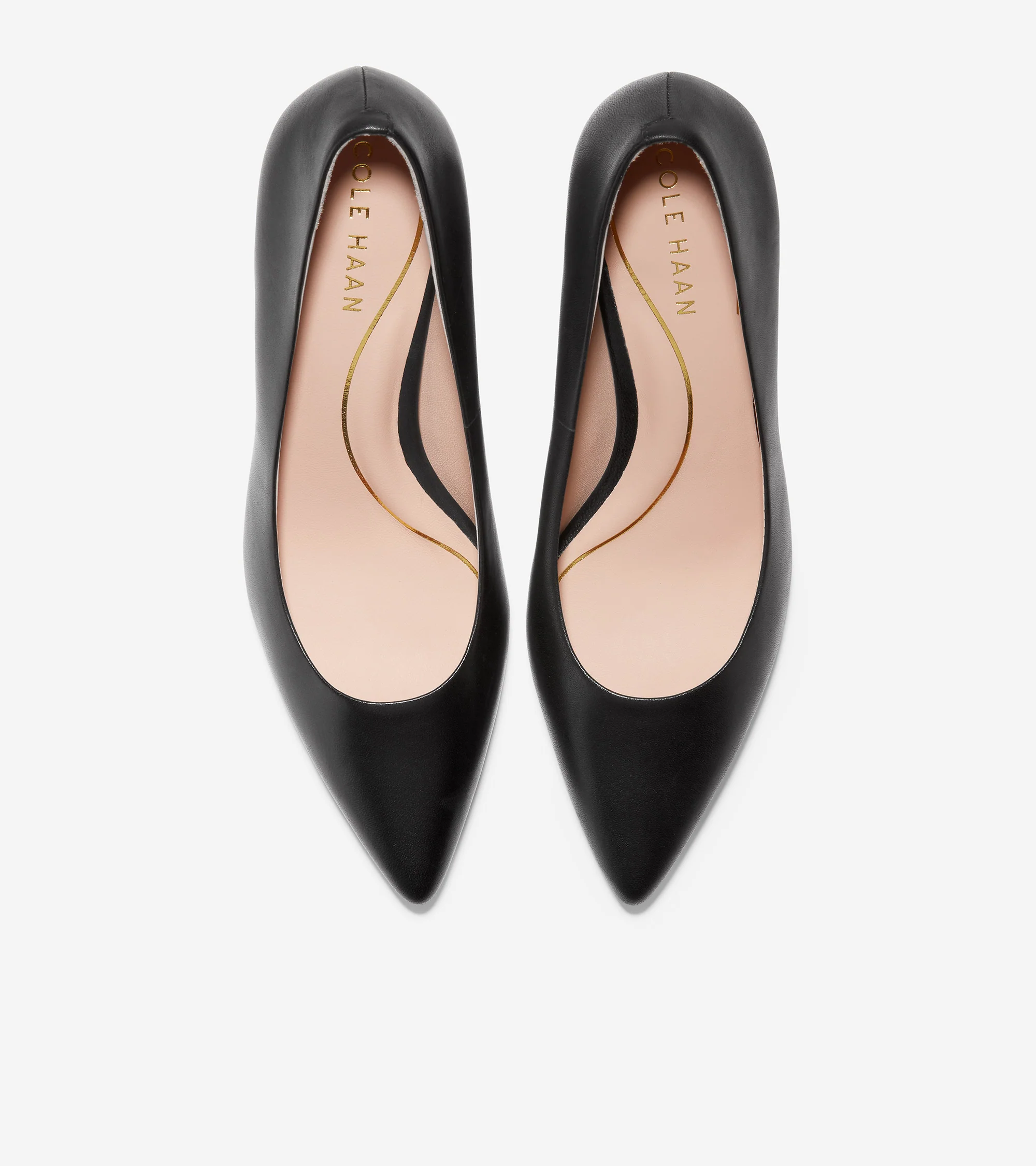 Vandam Pump - Image 4