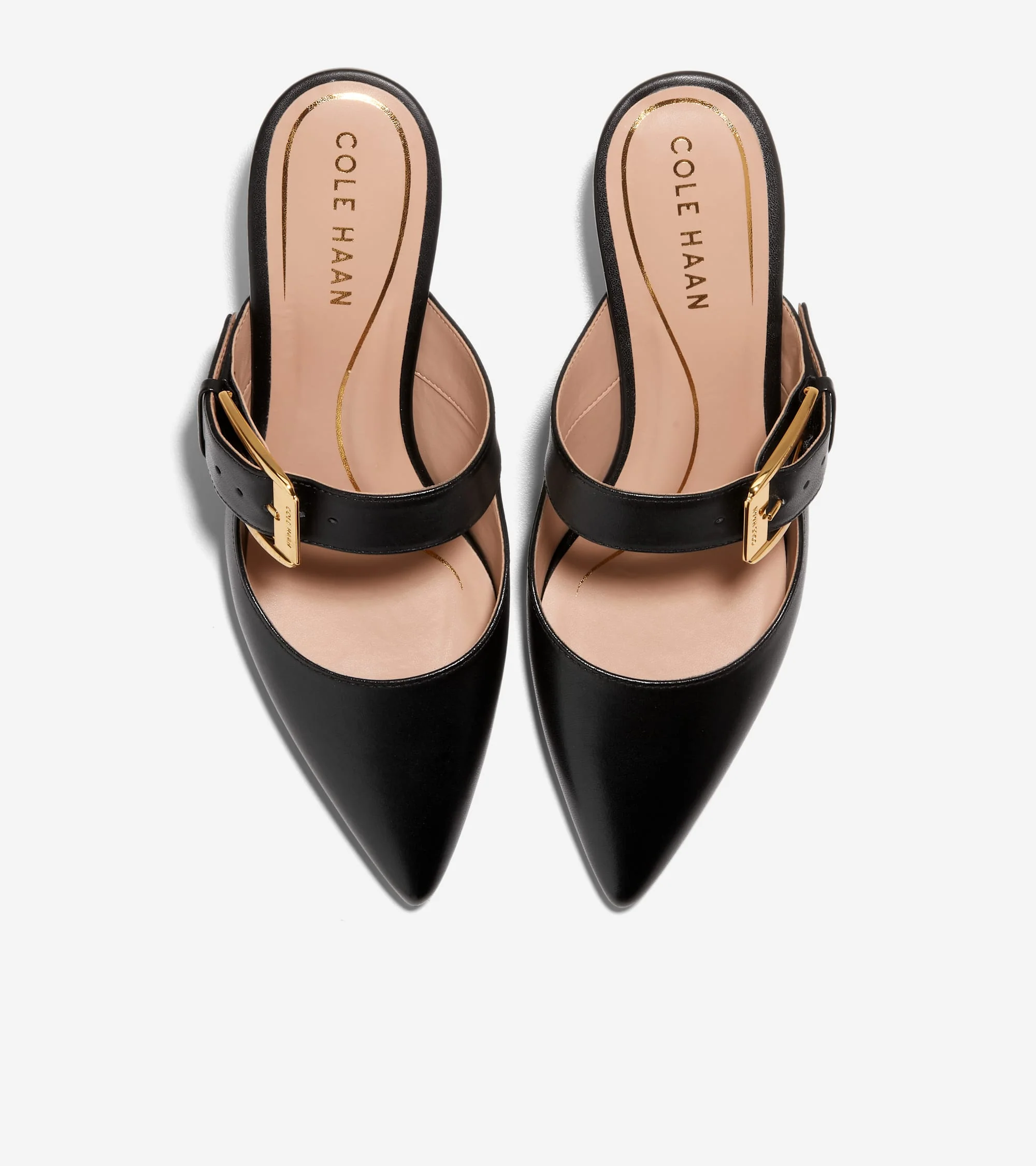 Women's Vandam Heeled Buckle Mule - Image 4